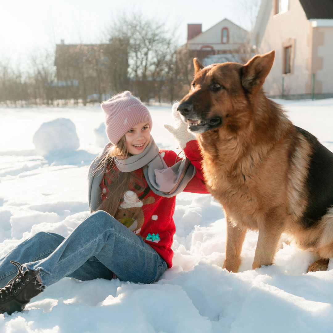 Girl sitting with pet German Shepherd in the snow