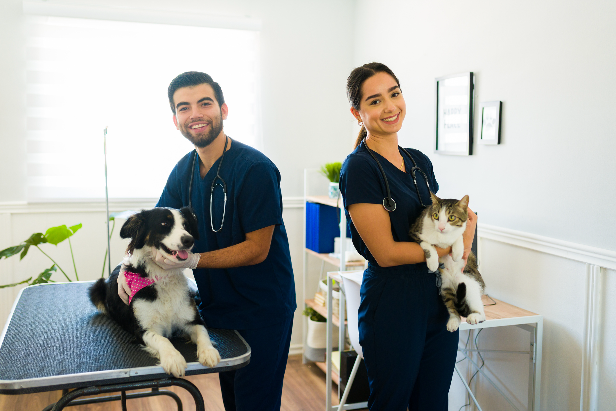 Two Veterinarians holding a dog and cat on operating table